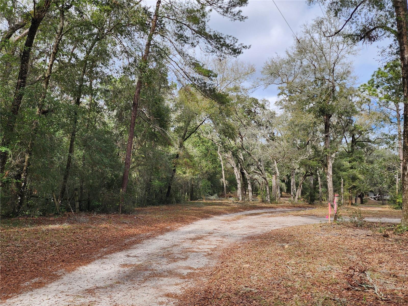 11065 SW 120TH AVE, DUNNELLON, FL, 34432