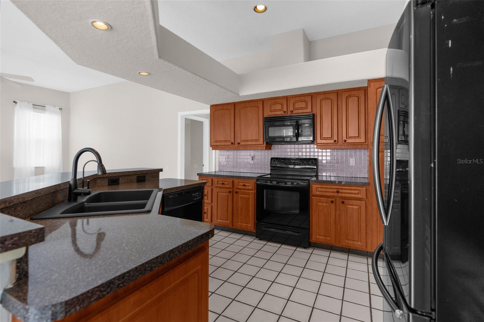 14356 BRONTE CT, HUDSON, FL, 34667