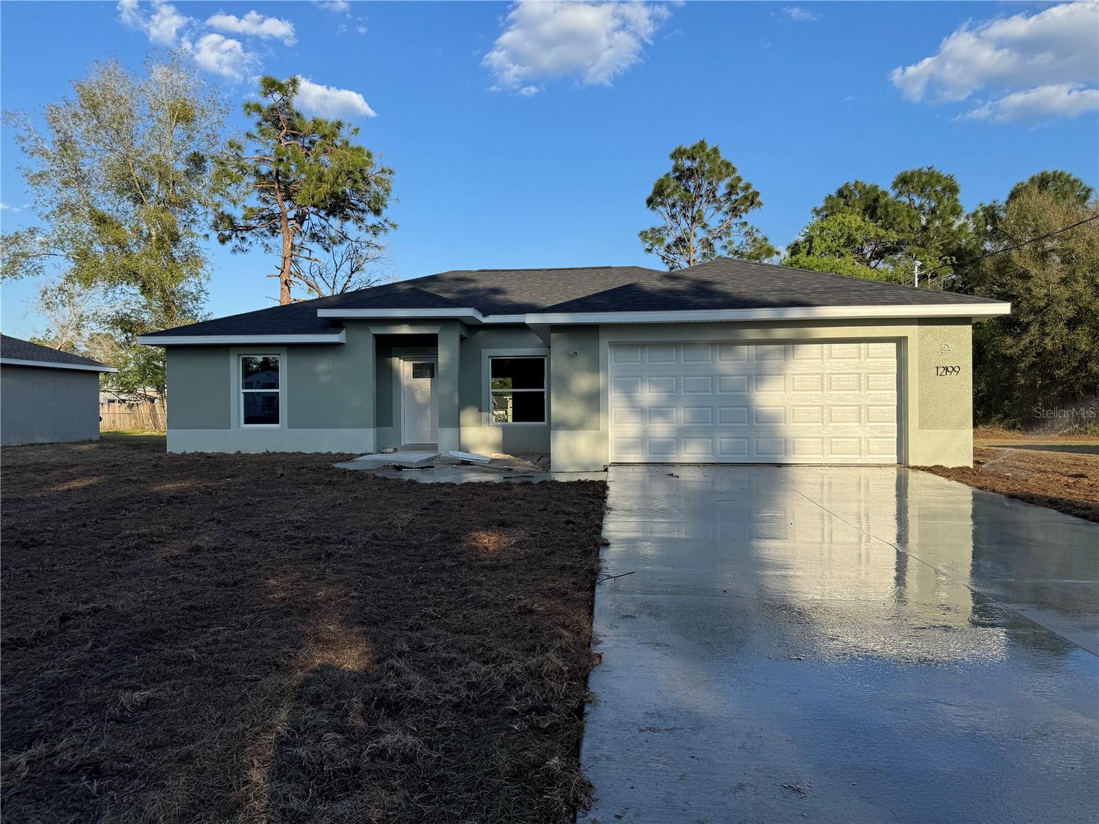 12199 SE 88TH CT, BELLEVIEW, FL, 34420