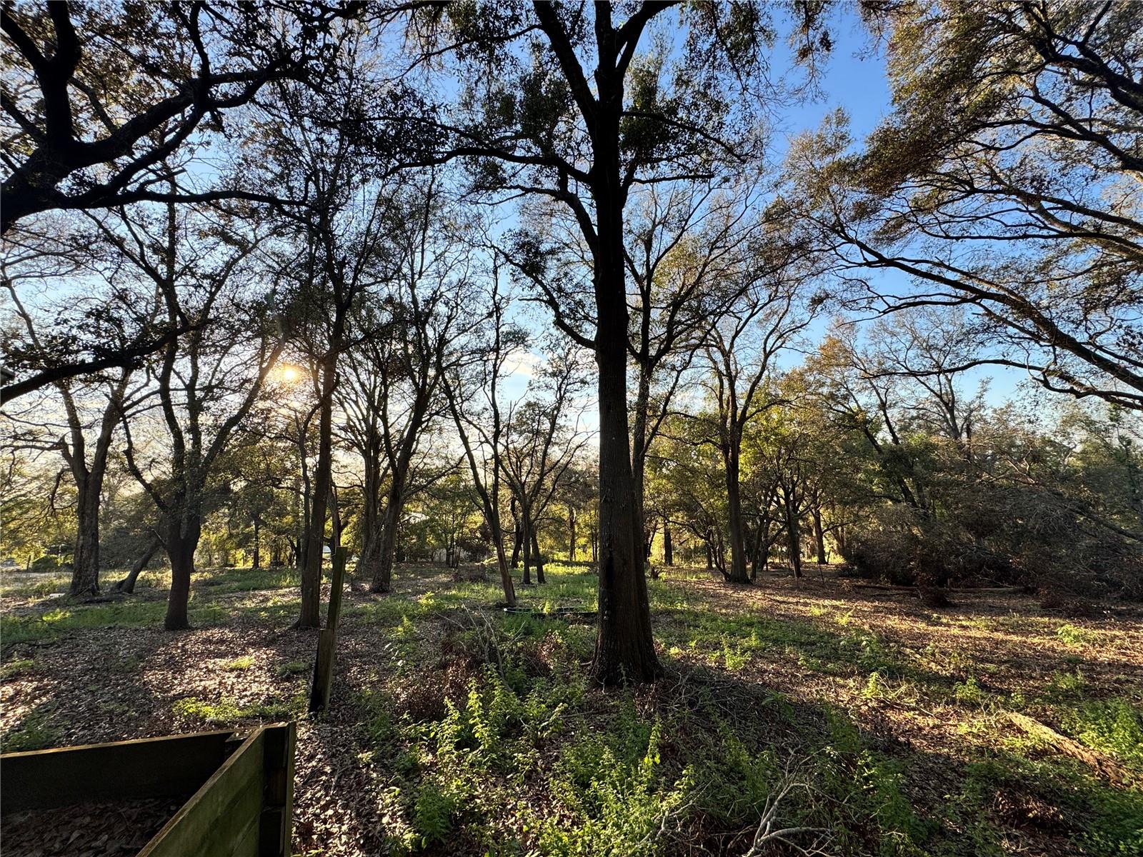 13011 MOUNTAIN TRL, CLERMONT, FL, 34715