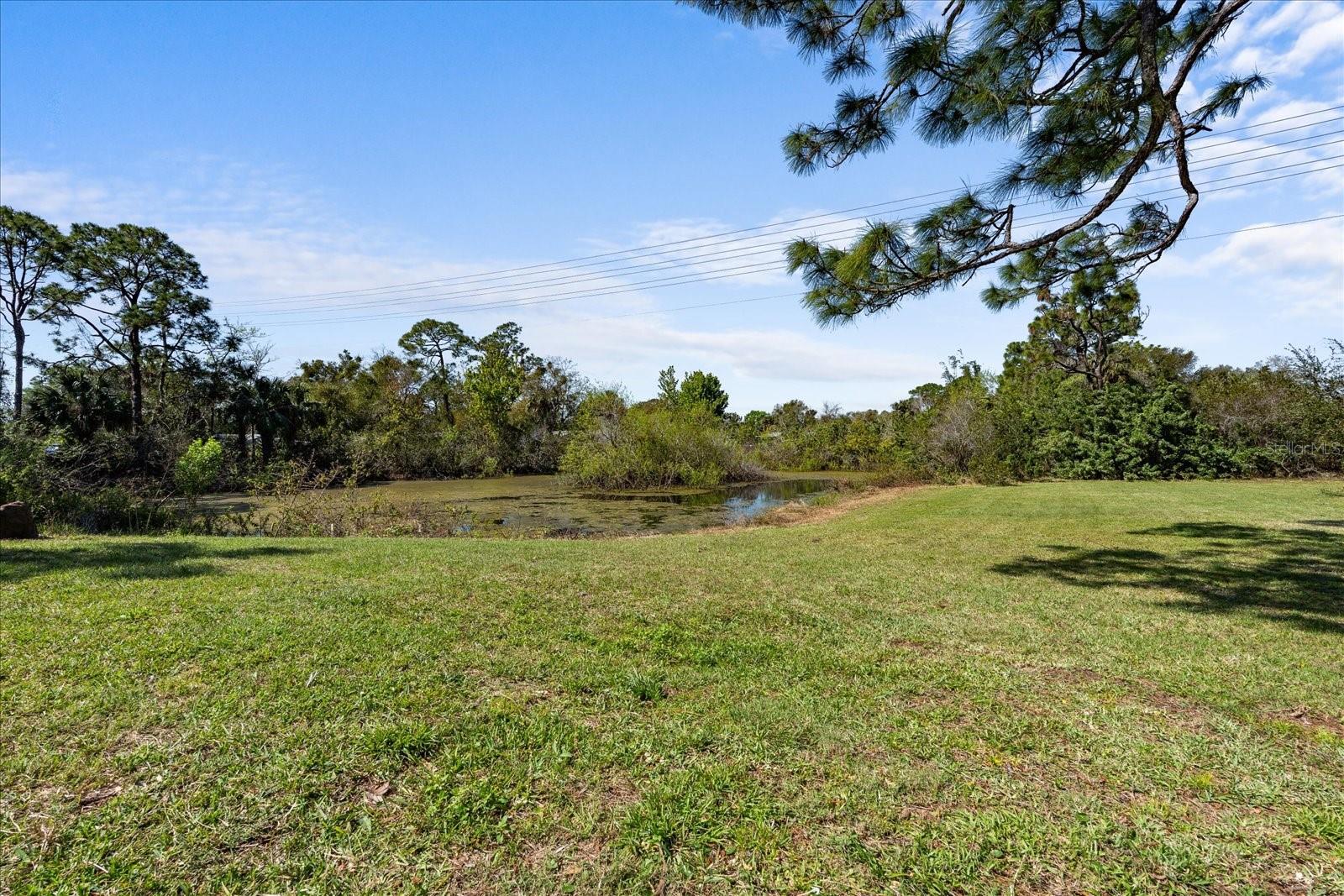 1905 MALLONEE RD, NEW SMYRNA BEACH, FL, 32168