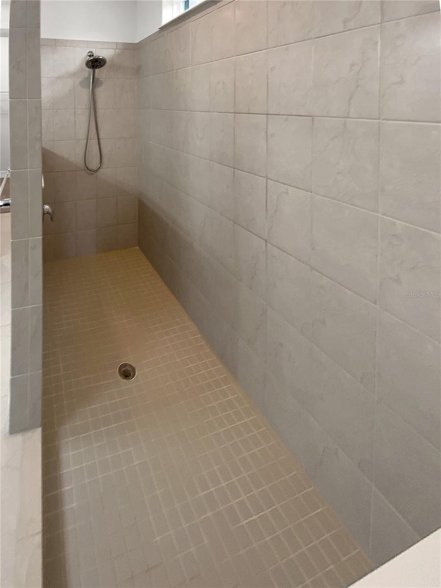 9793 RALLY SPRING LOOP, WESLEY CHAPEL, FL, 33545