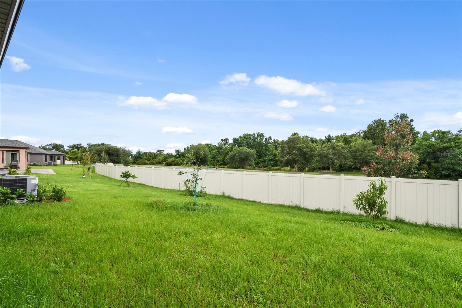 3597 LOGGERHEAD LN, MIMS, FL, 32754