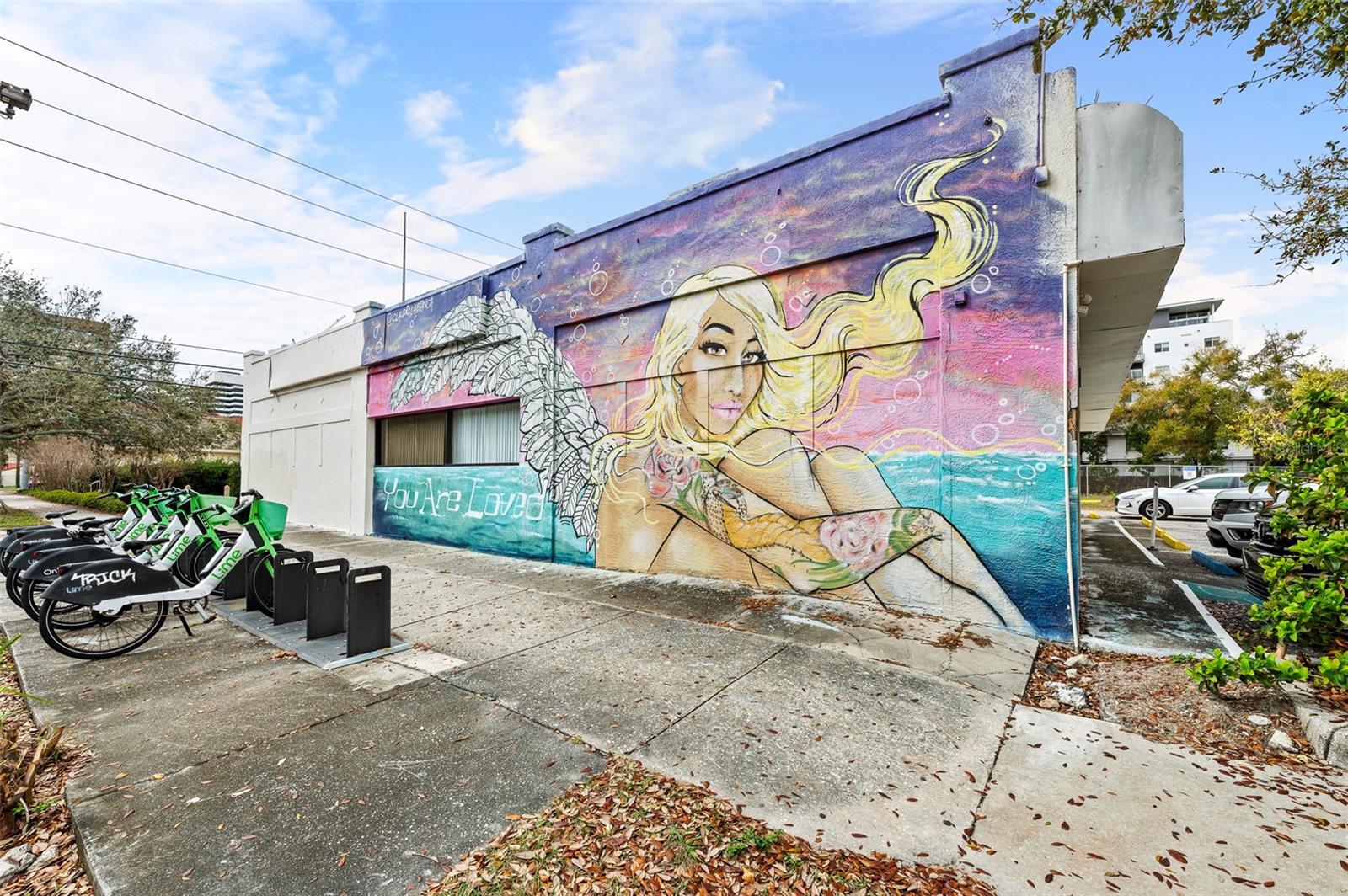 105 4TH AVE NE #405, ST PETERSBURG, FL, 33701