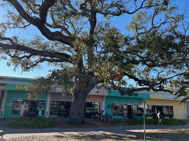 429 GRANT ST, DUNEDIN, FL, 34698