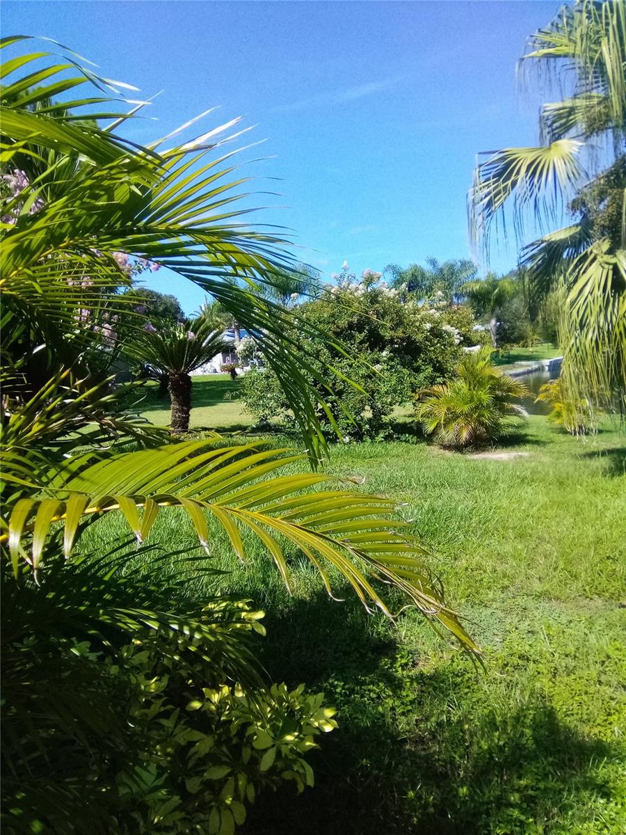 1484 GLADYS CIR, DUNEDIN, FL, 34698