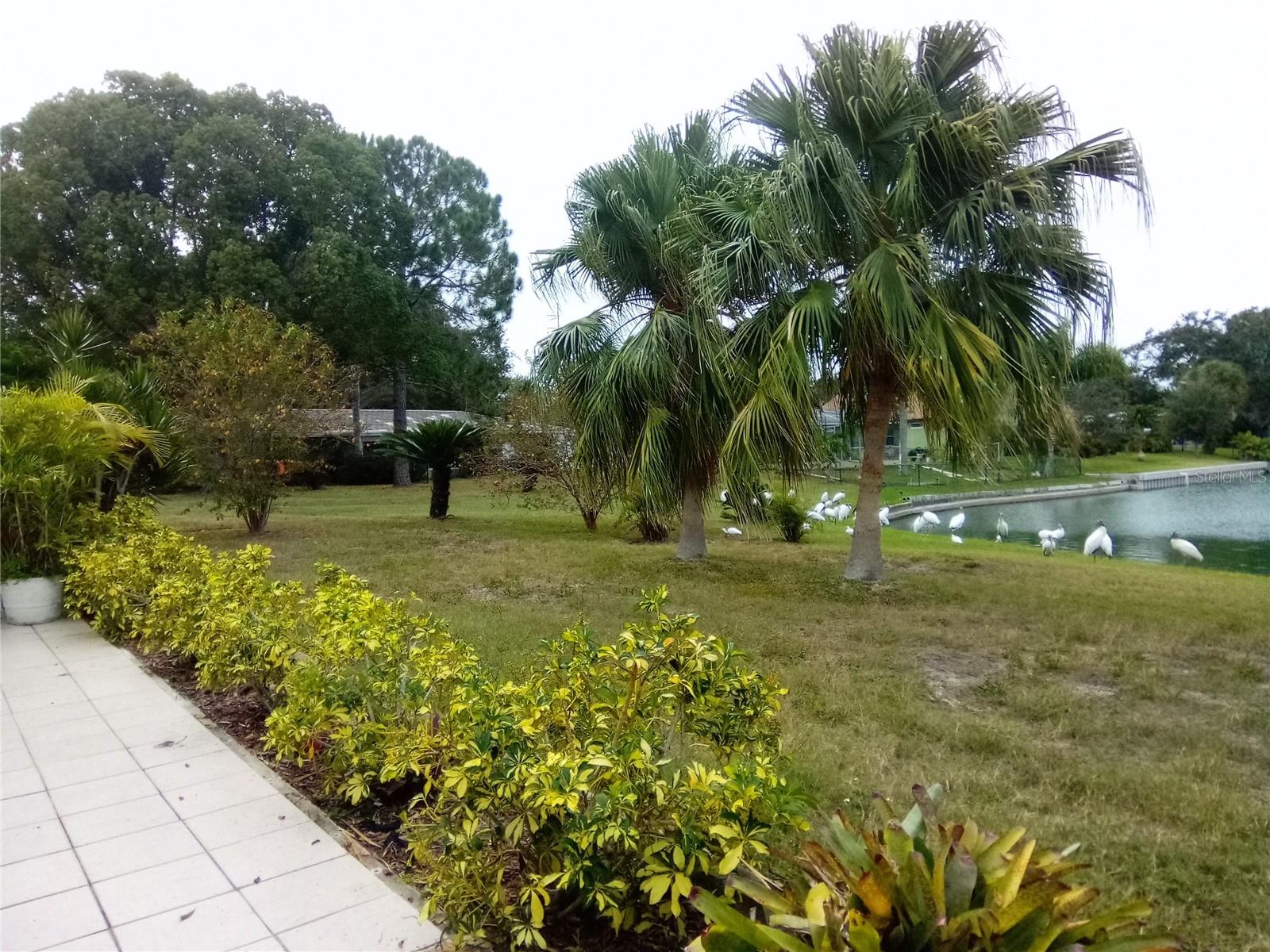 1484 GLADYS CIR, DUNEDIN, FL, 34698