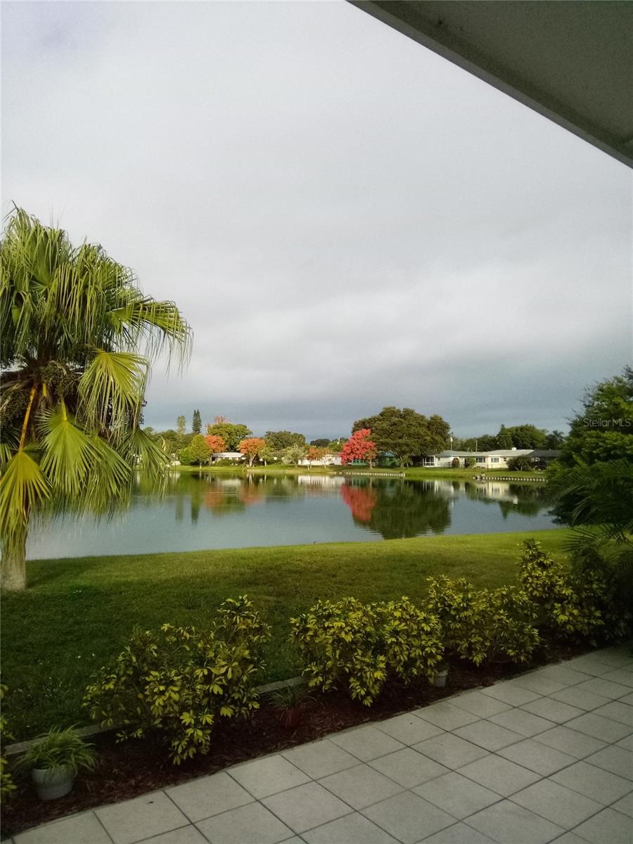 1484 GLADYS CIR, DUNEDIN, FL, 34698