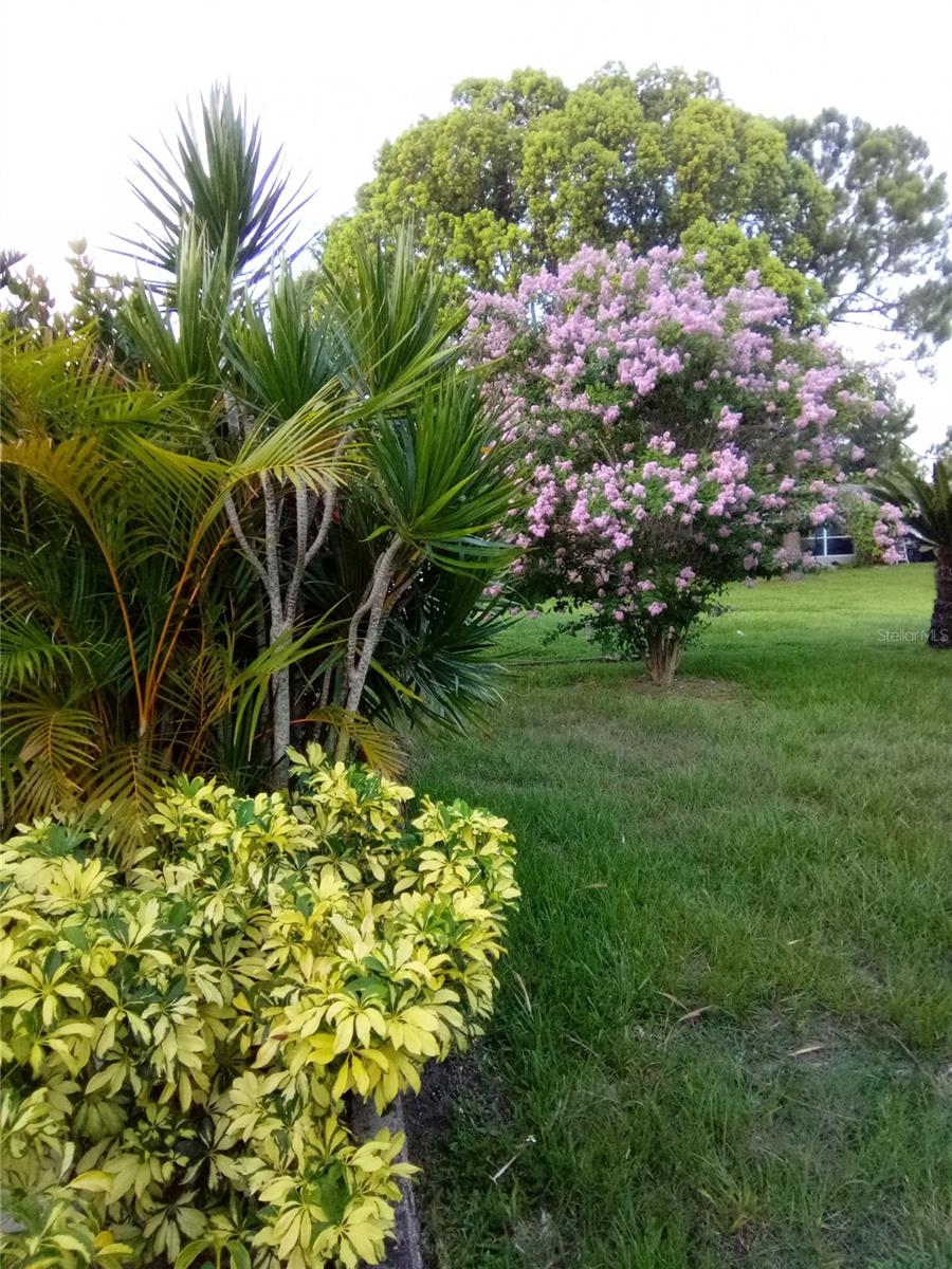 1484 GLADYS CIR, DUNEDIN, FL, 34698