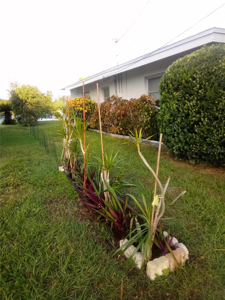 1484 GLADYS CIR, DUNEDIN, FL, 34698