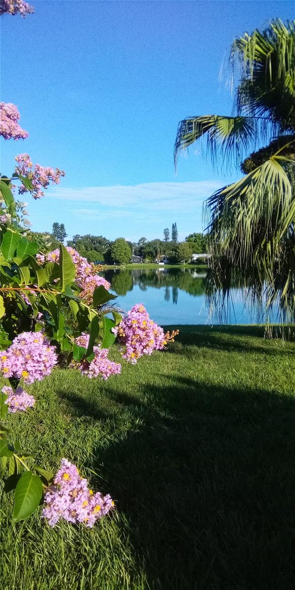 1484 GLADYS CIR, DUNEDIN, FL, 34698