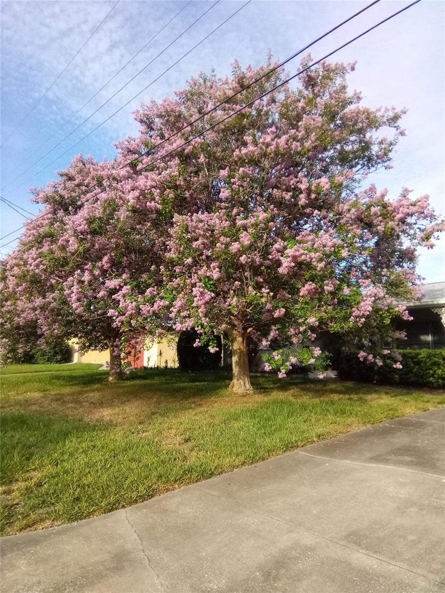 1484 GLADYS CIR, DUNEDIN, FL, 34698