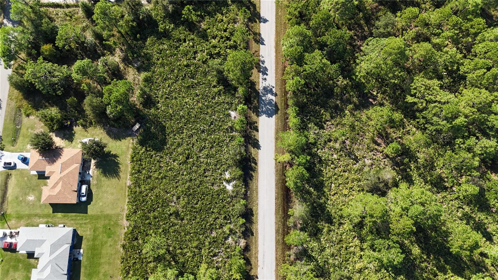 541 EMBRACER ST NW, LAKE PLACID, FL, 33852