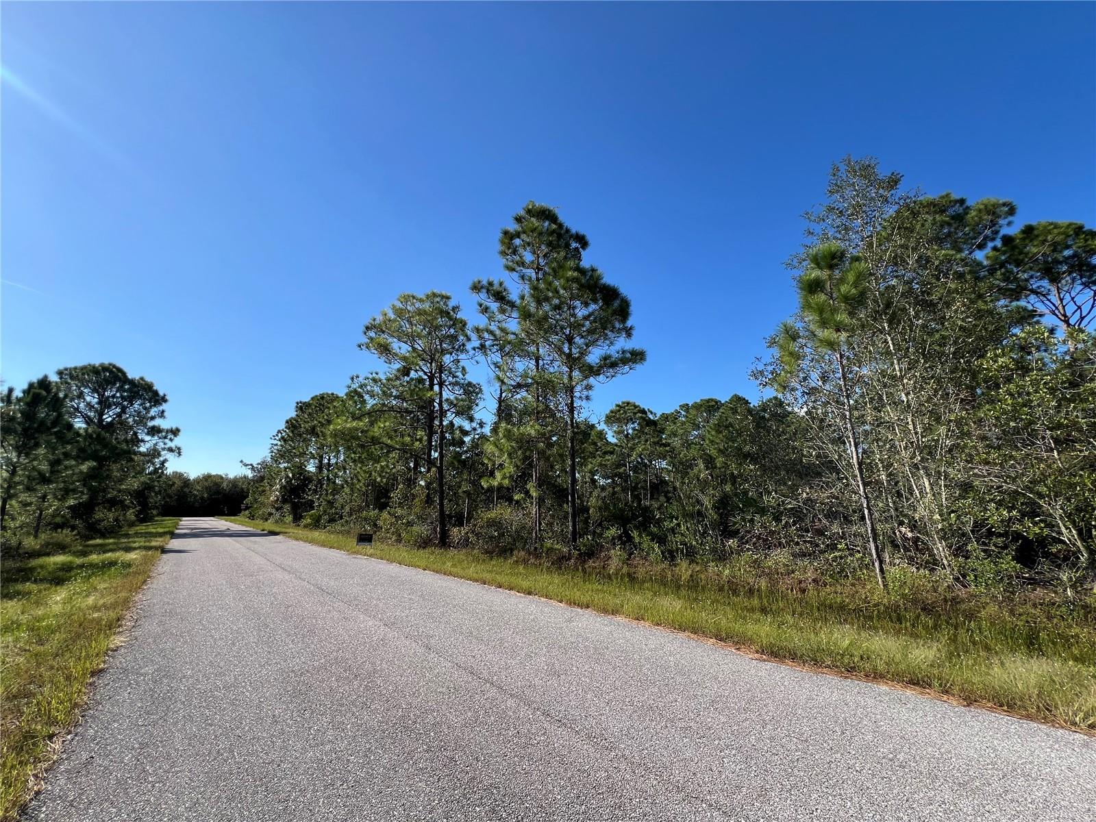 541 EMBRACER ST NW, LAKE PLACID, FL, 33852