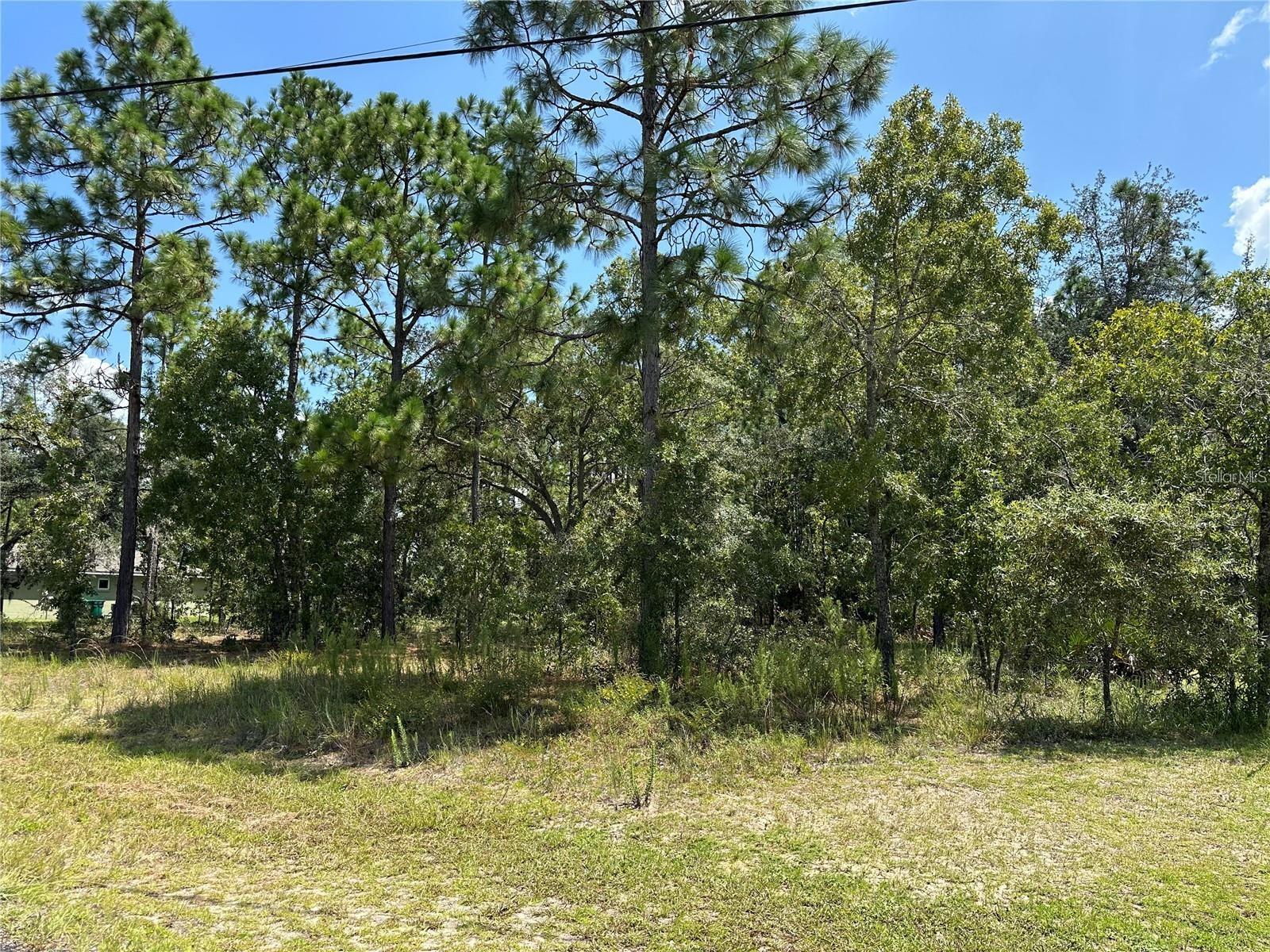 7147 N VARSITY AVE, CITRUS SPRINGS, FL, 34434