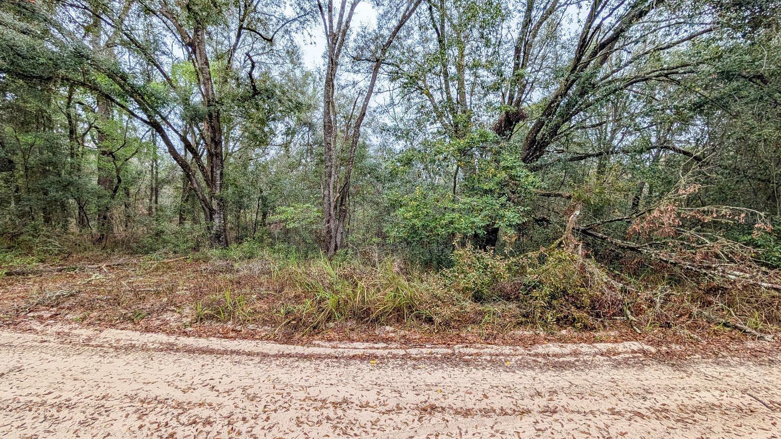 2302 EISENHOWER ST, INVERNESS, FL, 34453