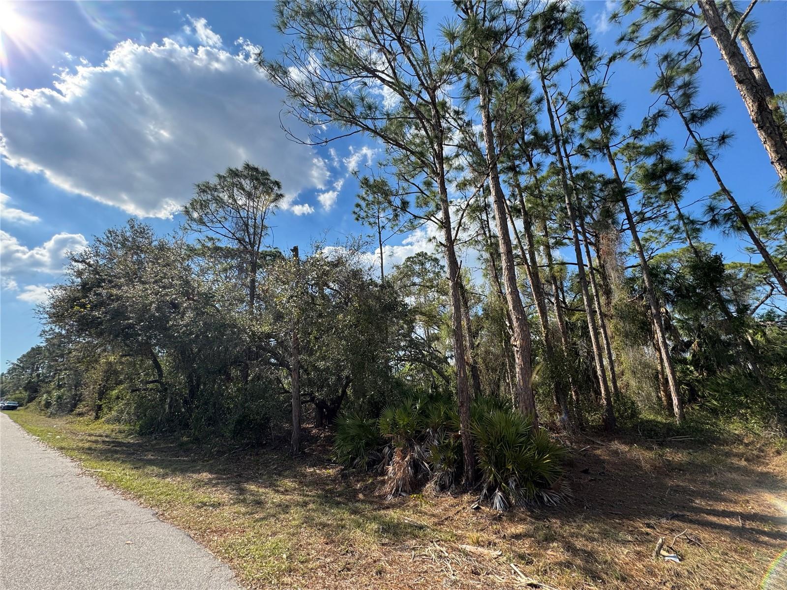 OMELA TER, NORTH PORT, FL, 34286