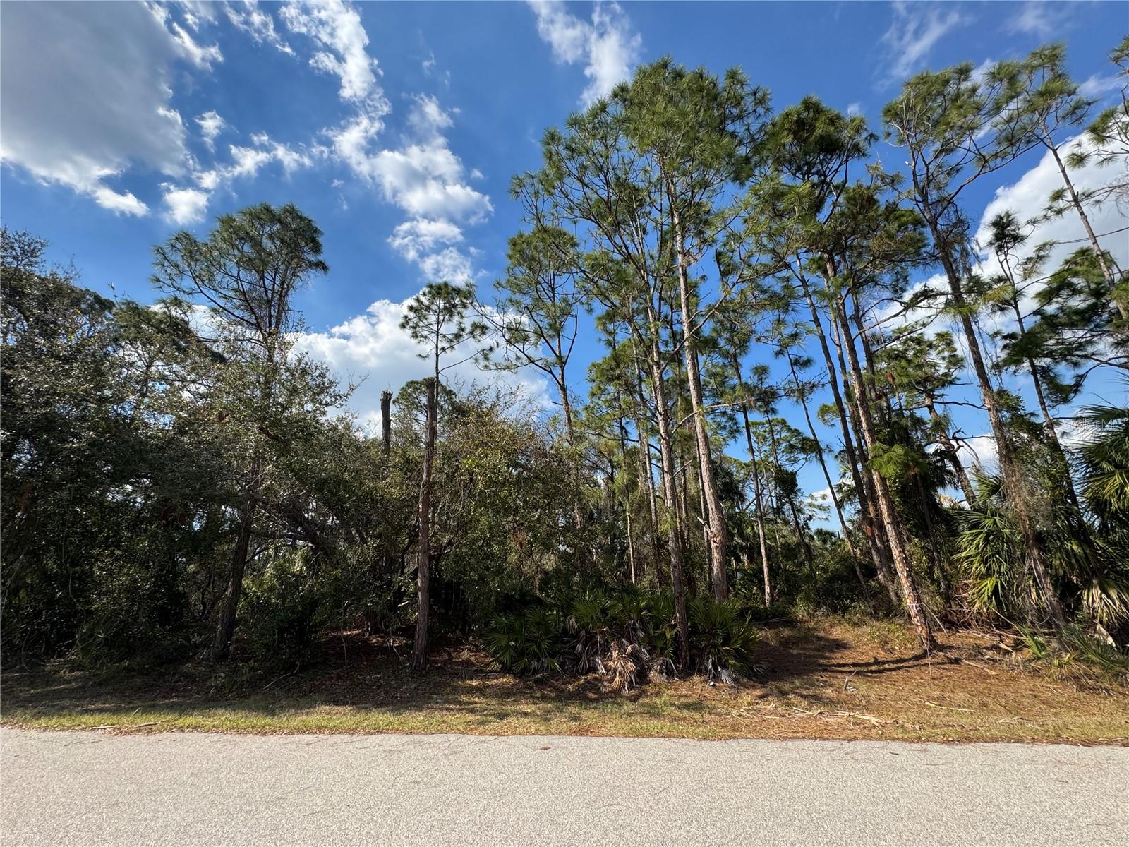 OMELA TER, NORTH PORT, FL, 34286