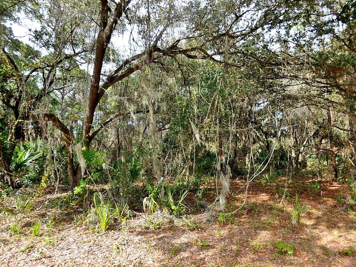 OMELA TER, NORTH PORT, FL, 34286
