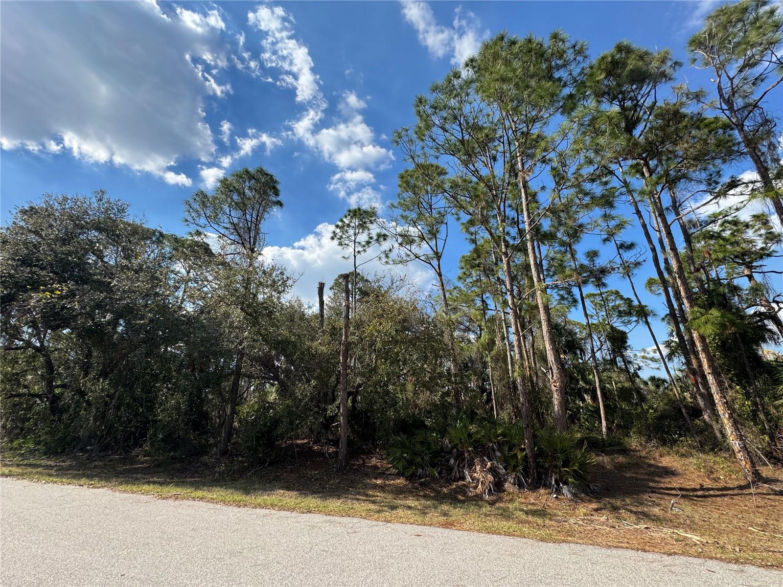 OMELA TER, NORTH PORT, FL, 34286