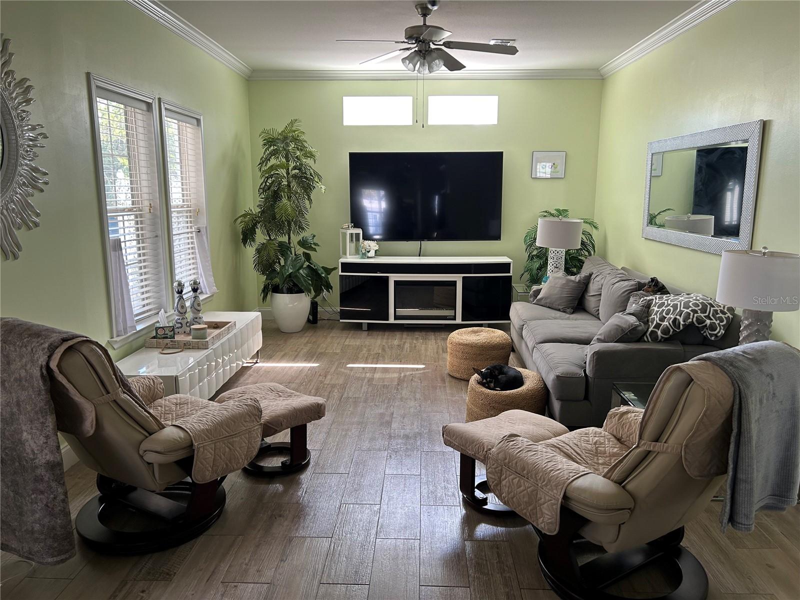 382 MOUNT RICHMOND AVE NE #338, ST PETERSBURG, FL, 33702