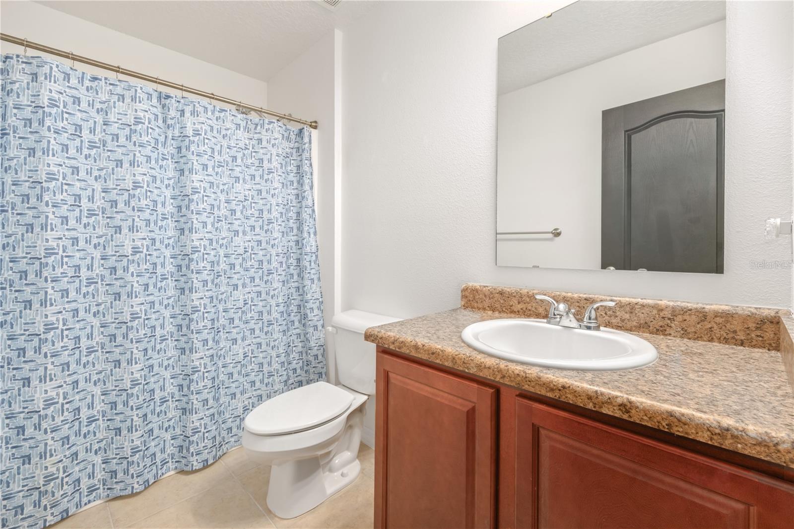 1317 INDEPENDENCE LN, MOUNT DORA, FL, 32757