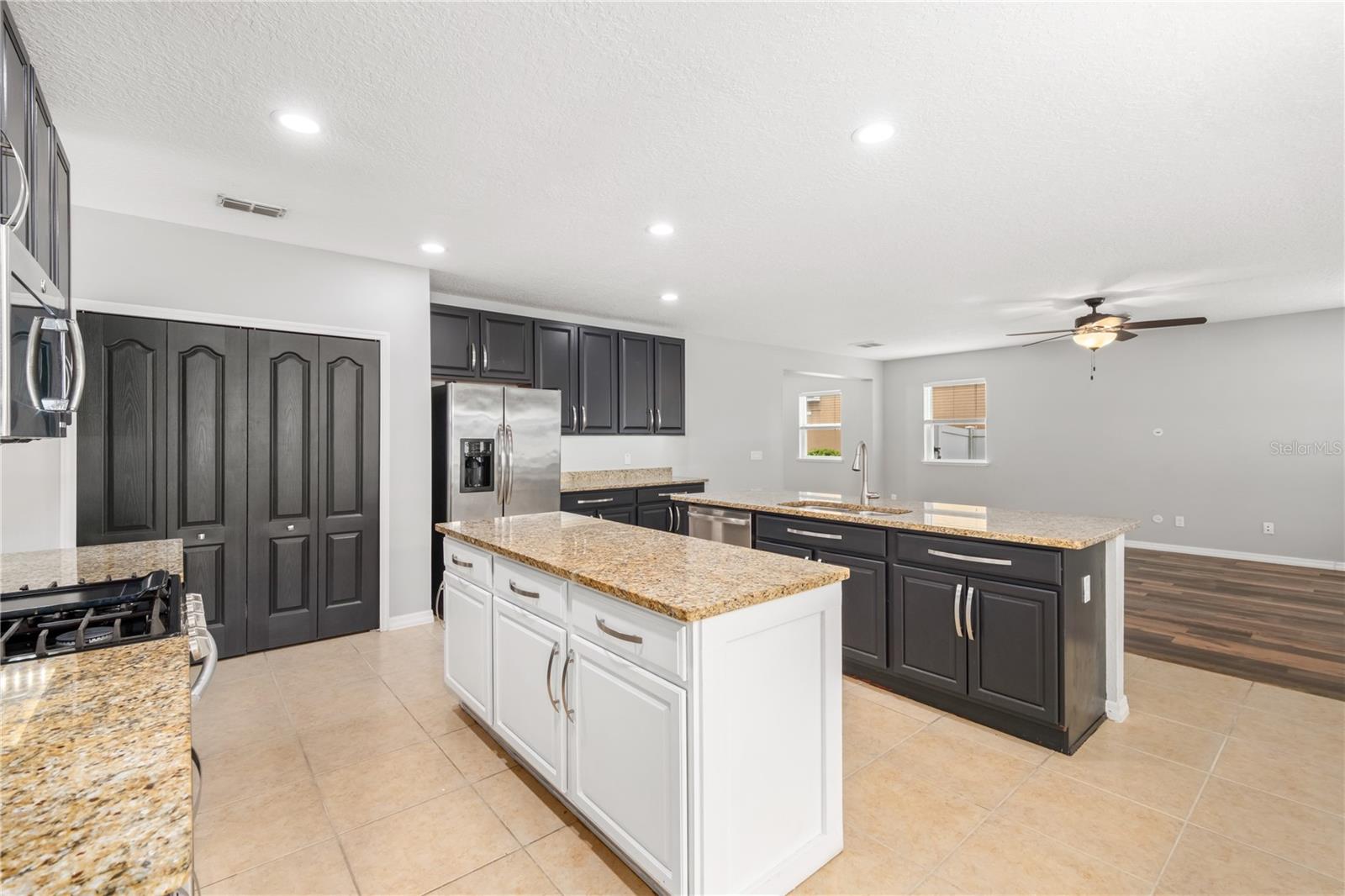 1317 INDEPENDENCE LN, MOUNT DORA, FL, 32757