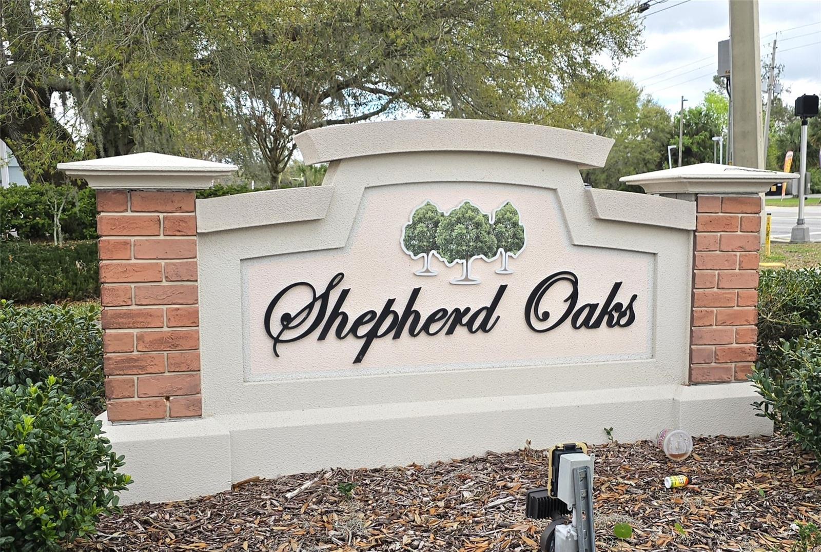 6608 SHEPHERD OAKS PASS #2, LAKELAND, FL, 33811