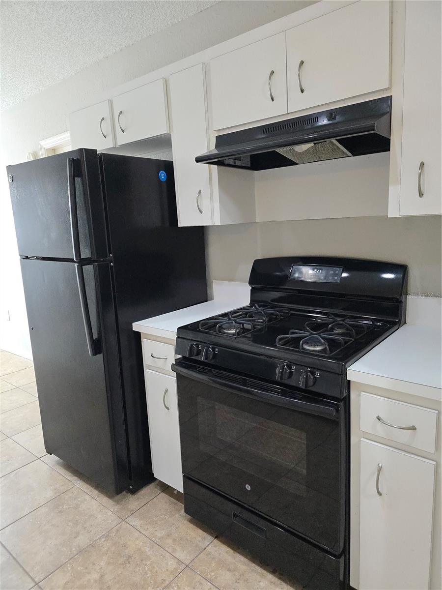 6608 SHEPHERD OAKS PASS #2, LAKELAND, FL, 33811