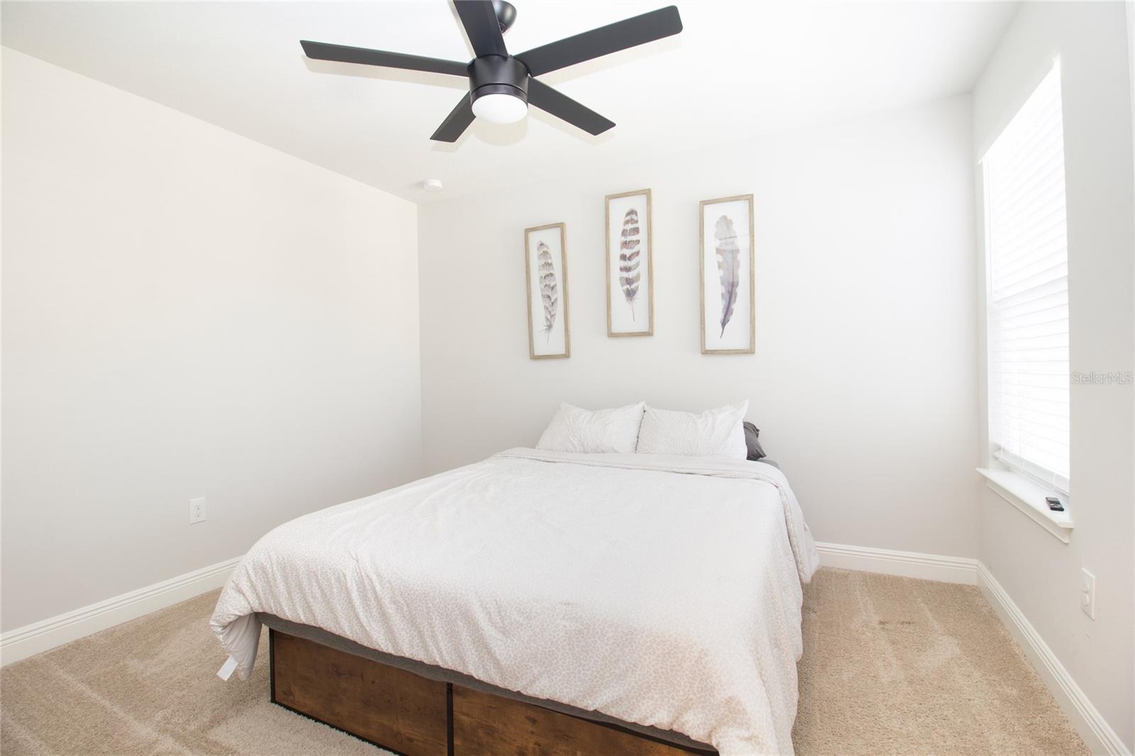 5736 GRAND SONATA AVE, LUTZ, FL, 33558