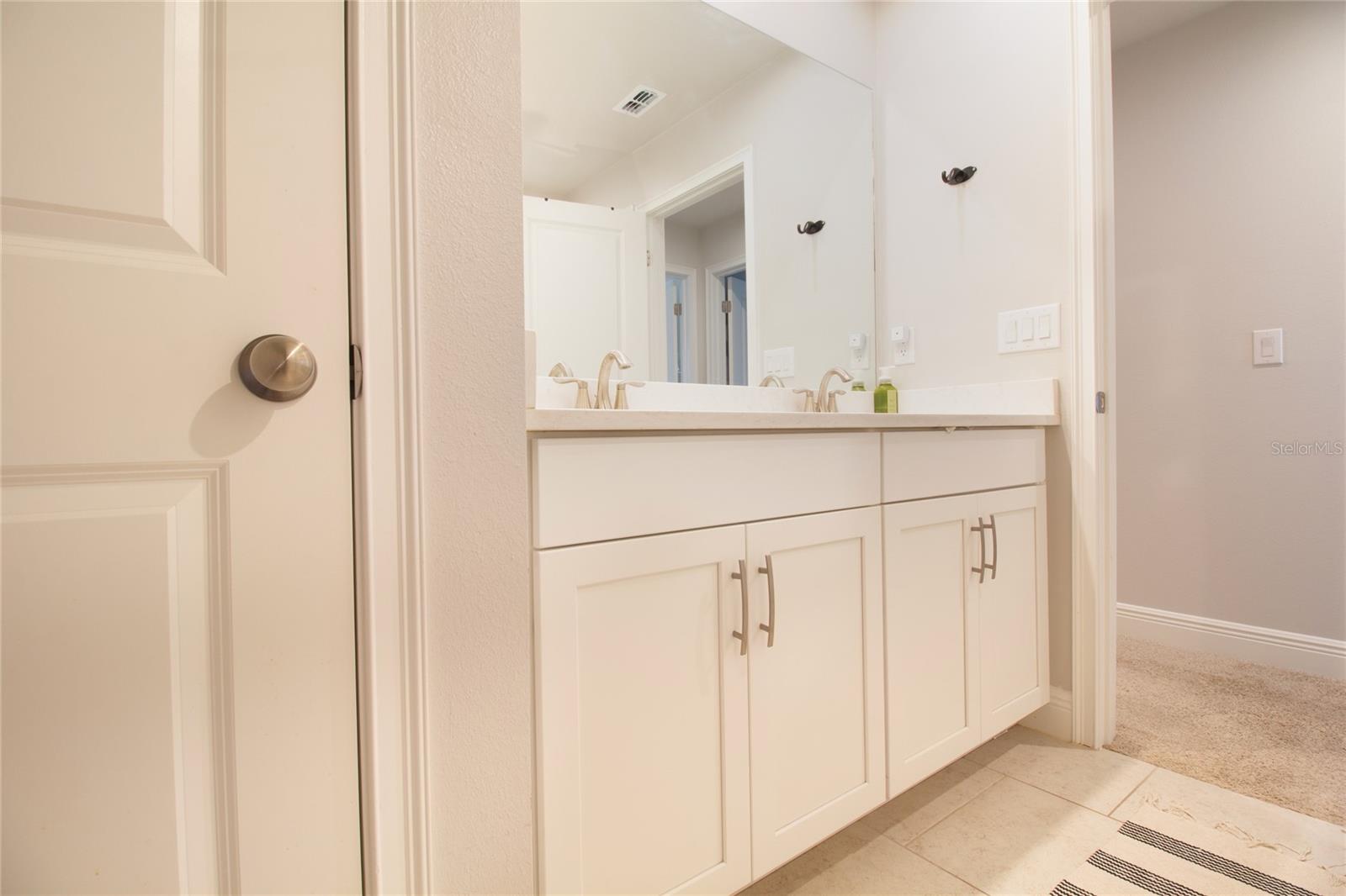 5736 GRAND SONATA AVE, LUTZ, FL, 33558