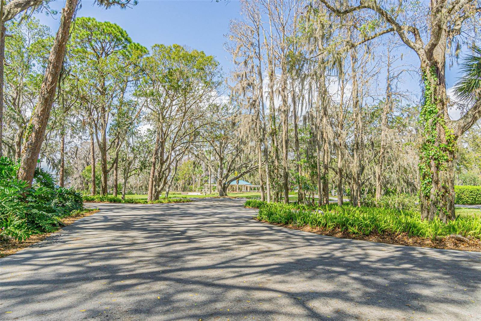 3015 NORTHFIELD DR, TARPON SPRINGS, FL, 34688