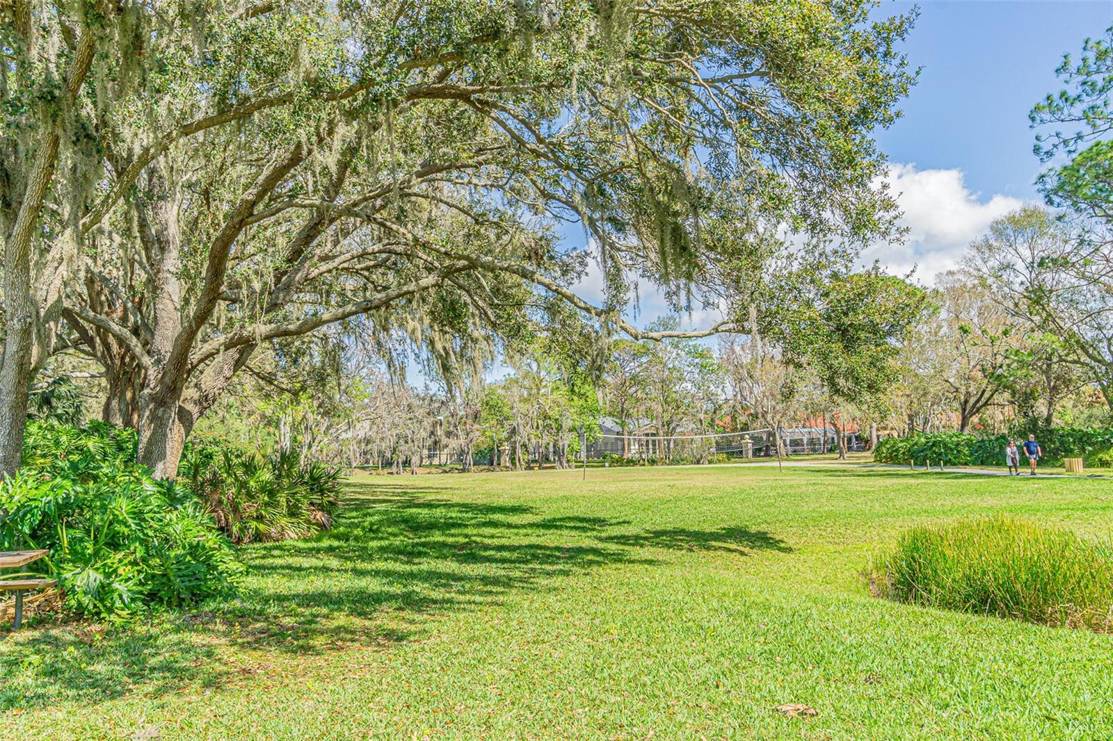 3015 NORTHFIELD DR, TARPON SPRINGS, FL, 34688