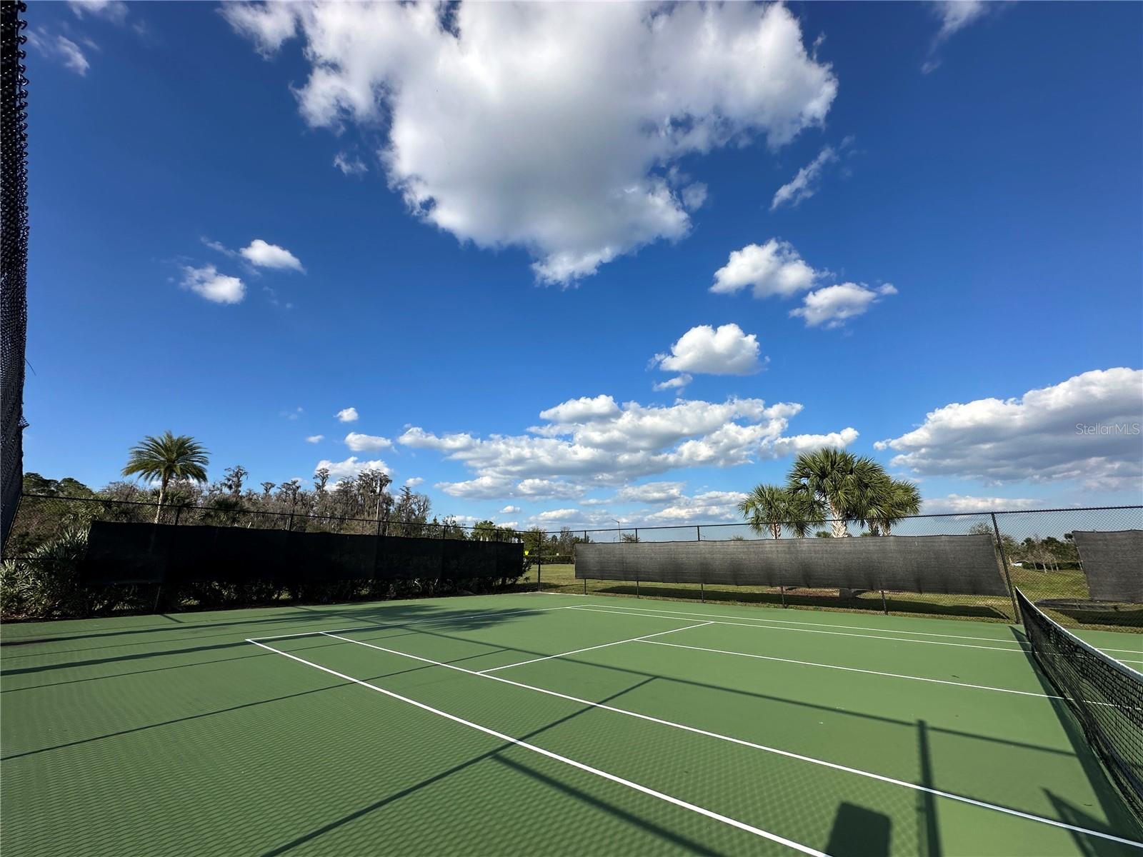 10800 ELLISON AVE, ORLANDO, FL, 32832