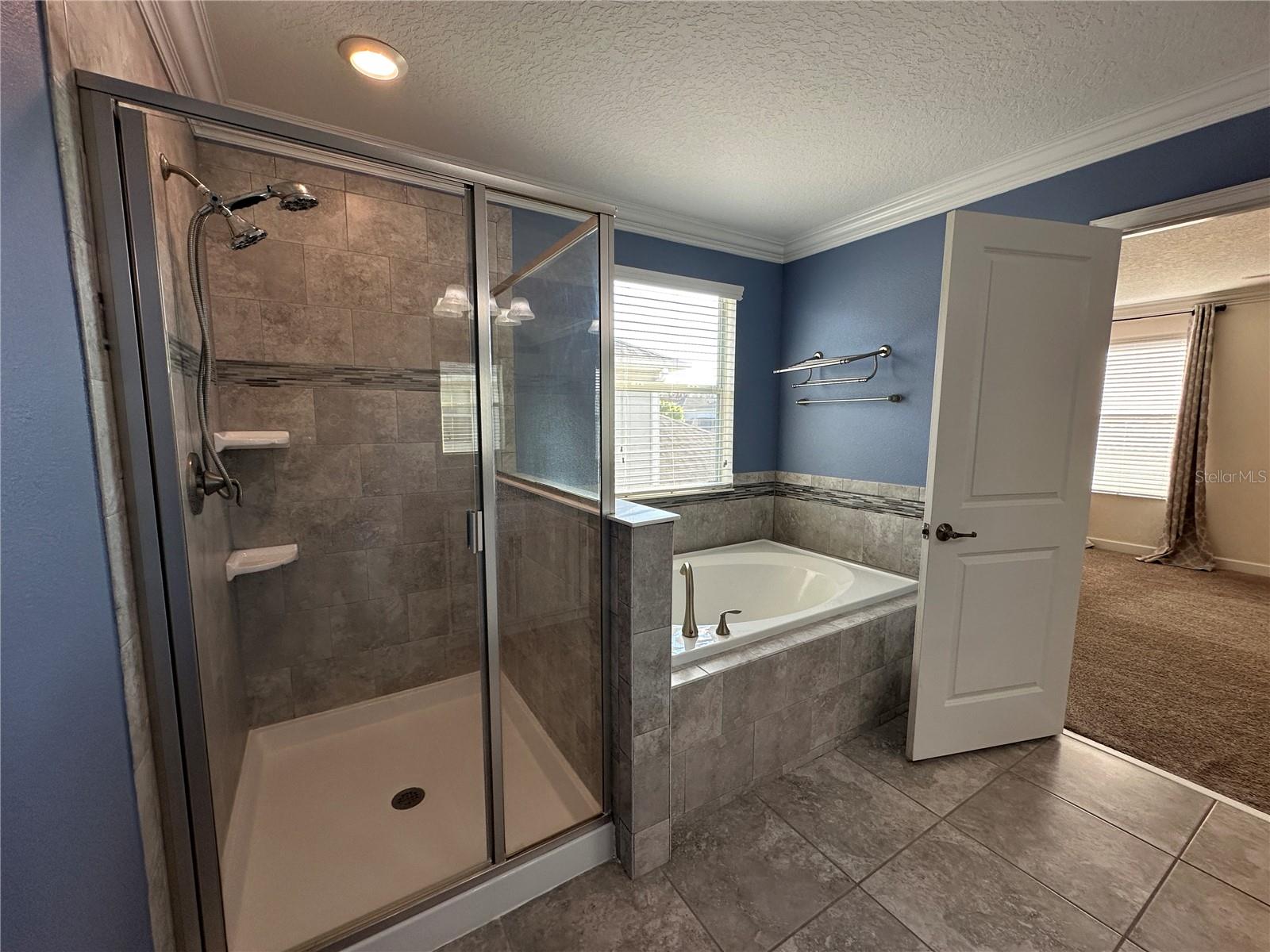 10800 ELLISON AVE, ORLANDO, FL, 32832