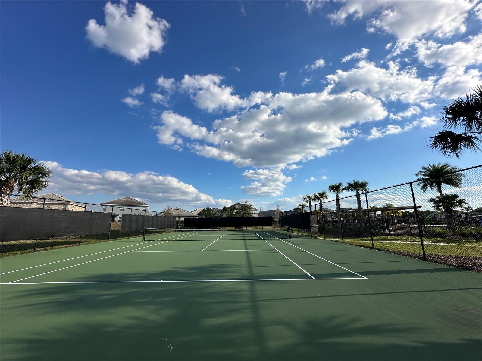 10800 ELLISON AVE, ORLANDO, FL, 32832