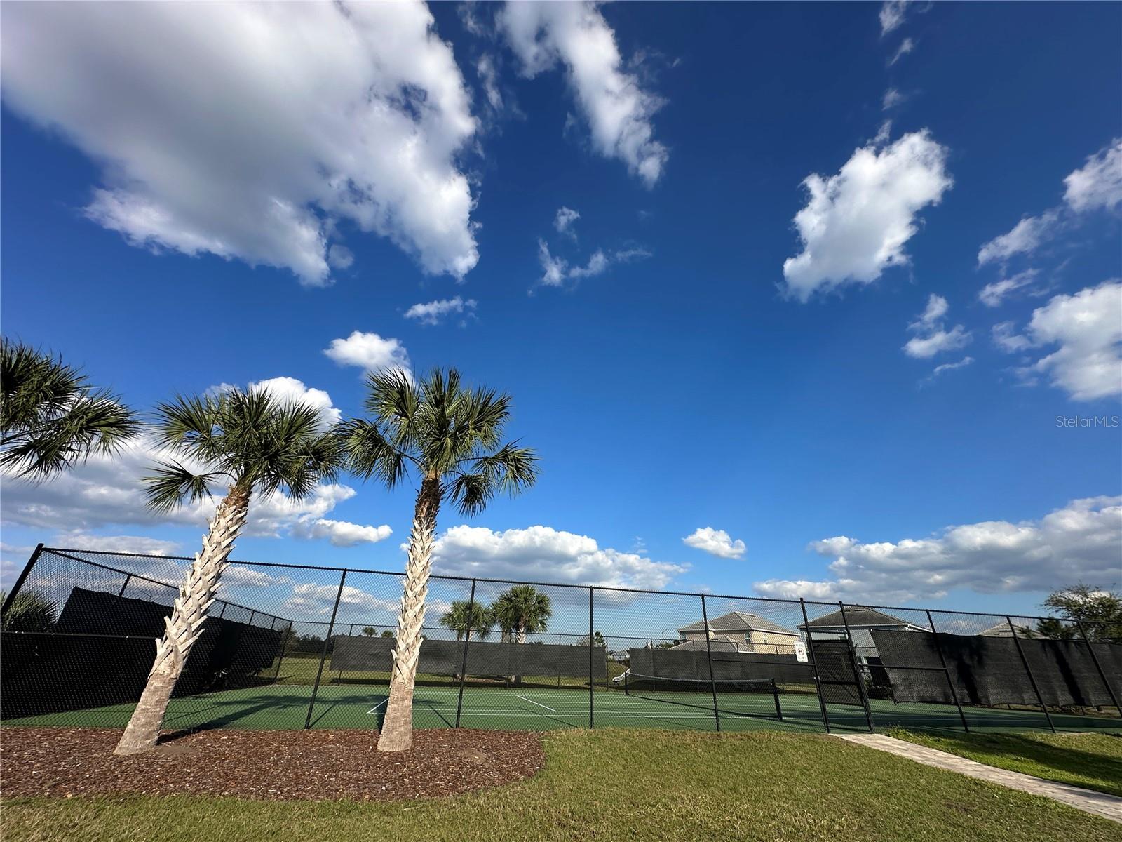10800 ELLISON AVE, ORLANDO, FL, 32832