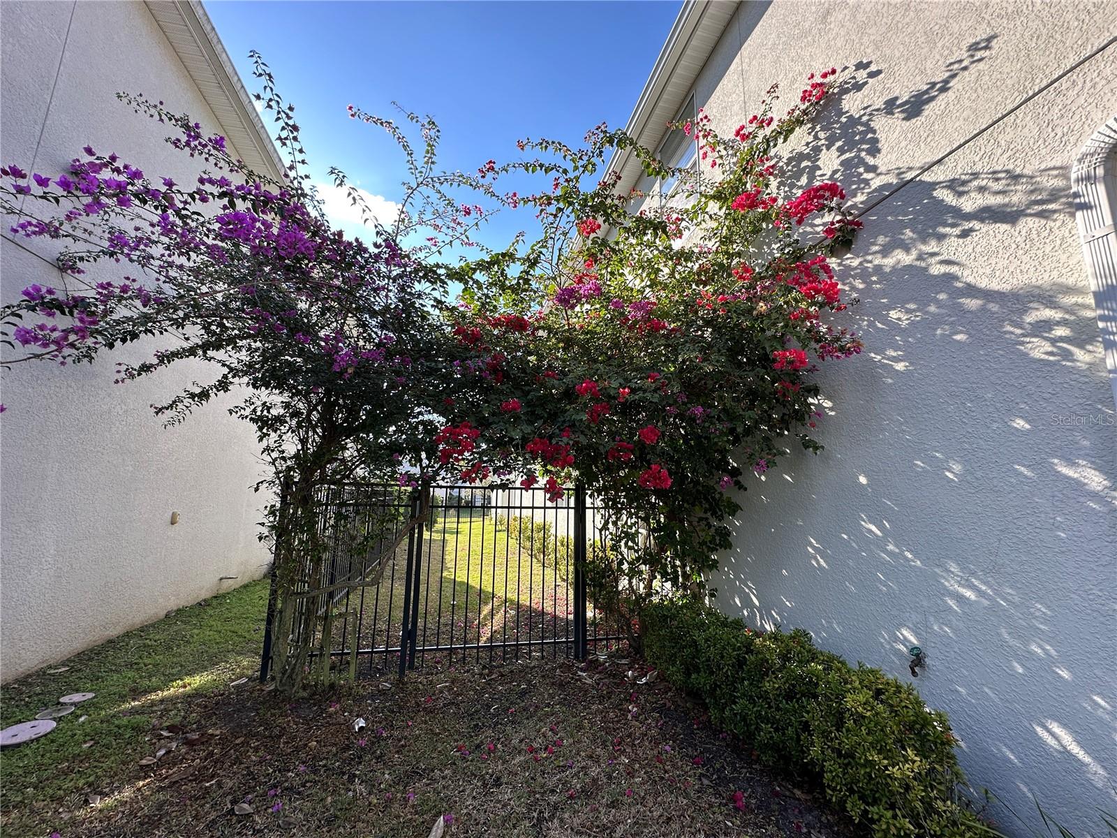 10800 ELLISON AVE, ORLANDO, FL, 32832