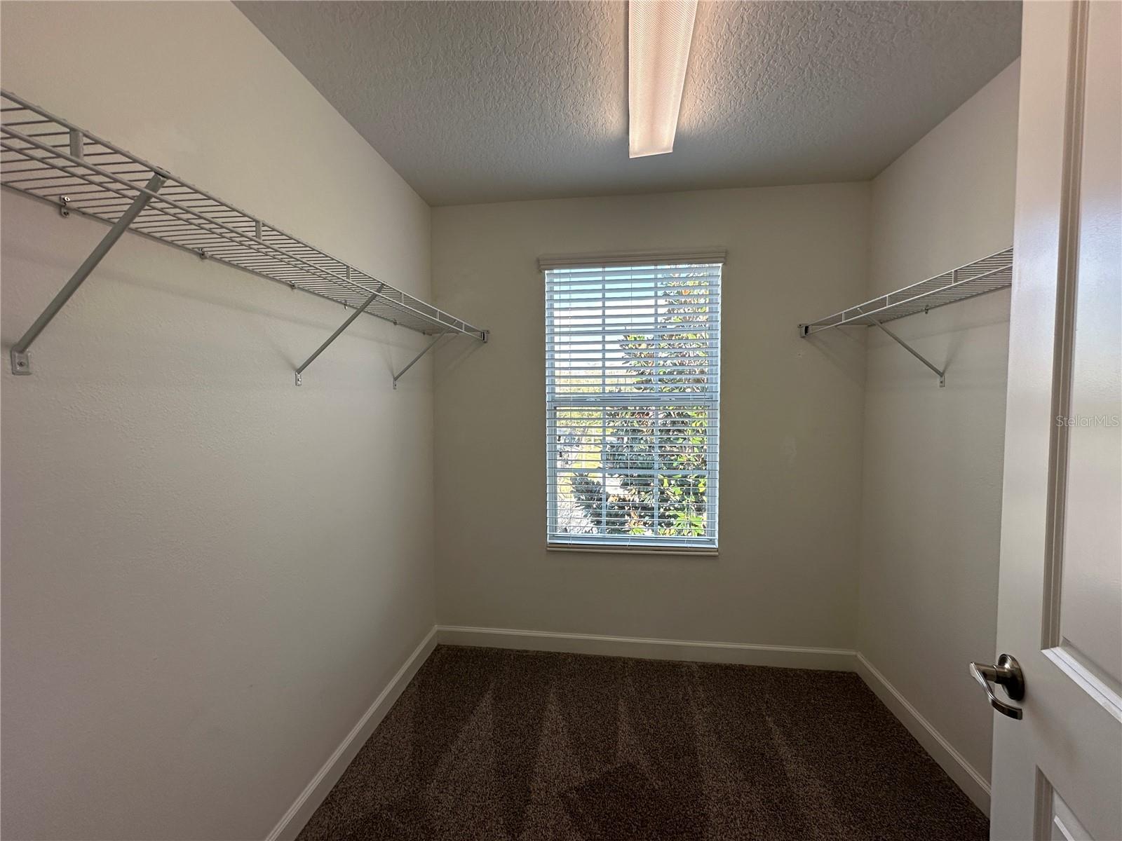 10800 ELLISON AVE, ORLANDO, FL, 32832