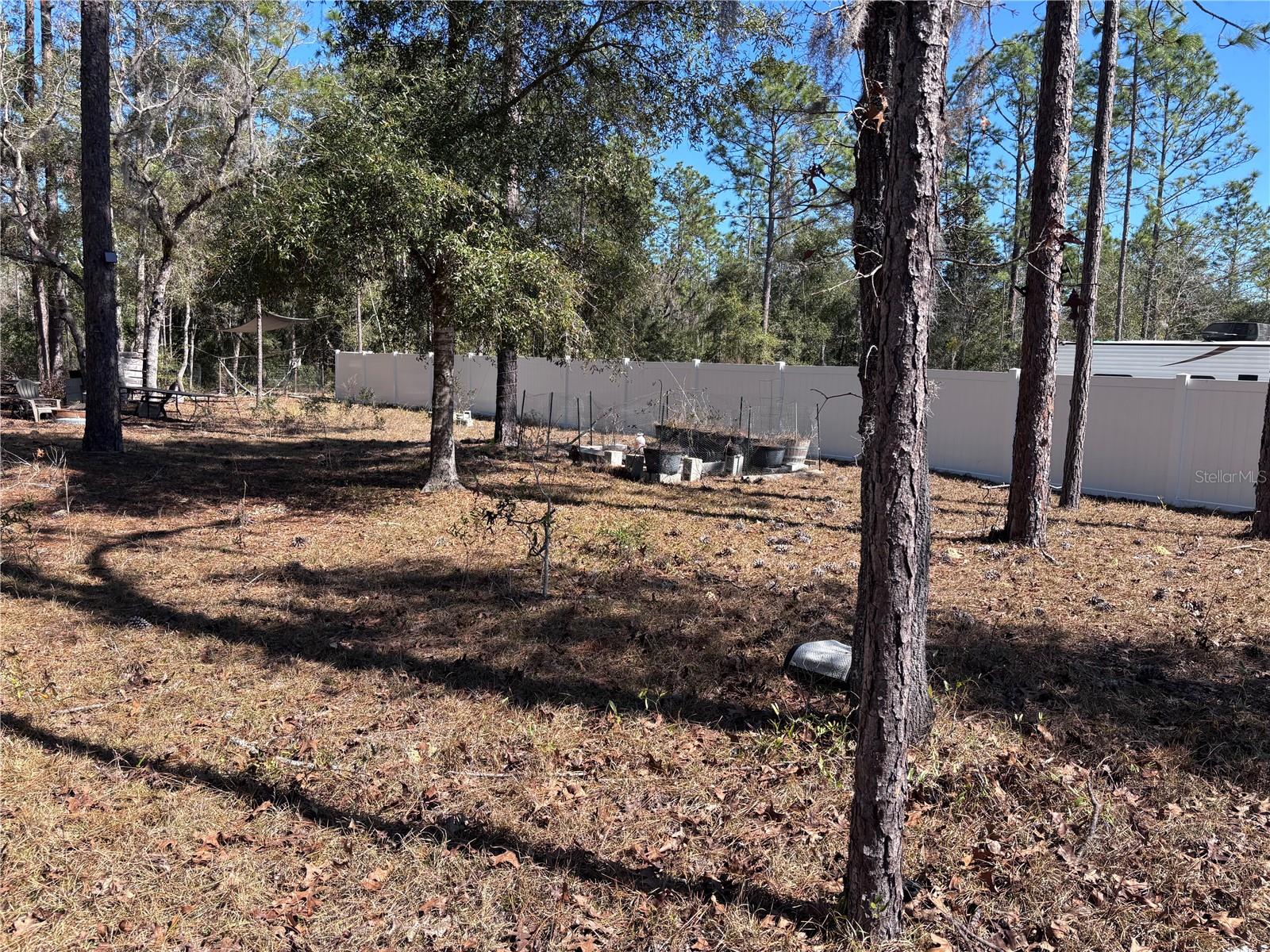 NE 3RD PL, WILLISTON, FL, 32696