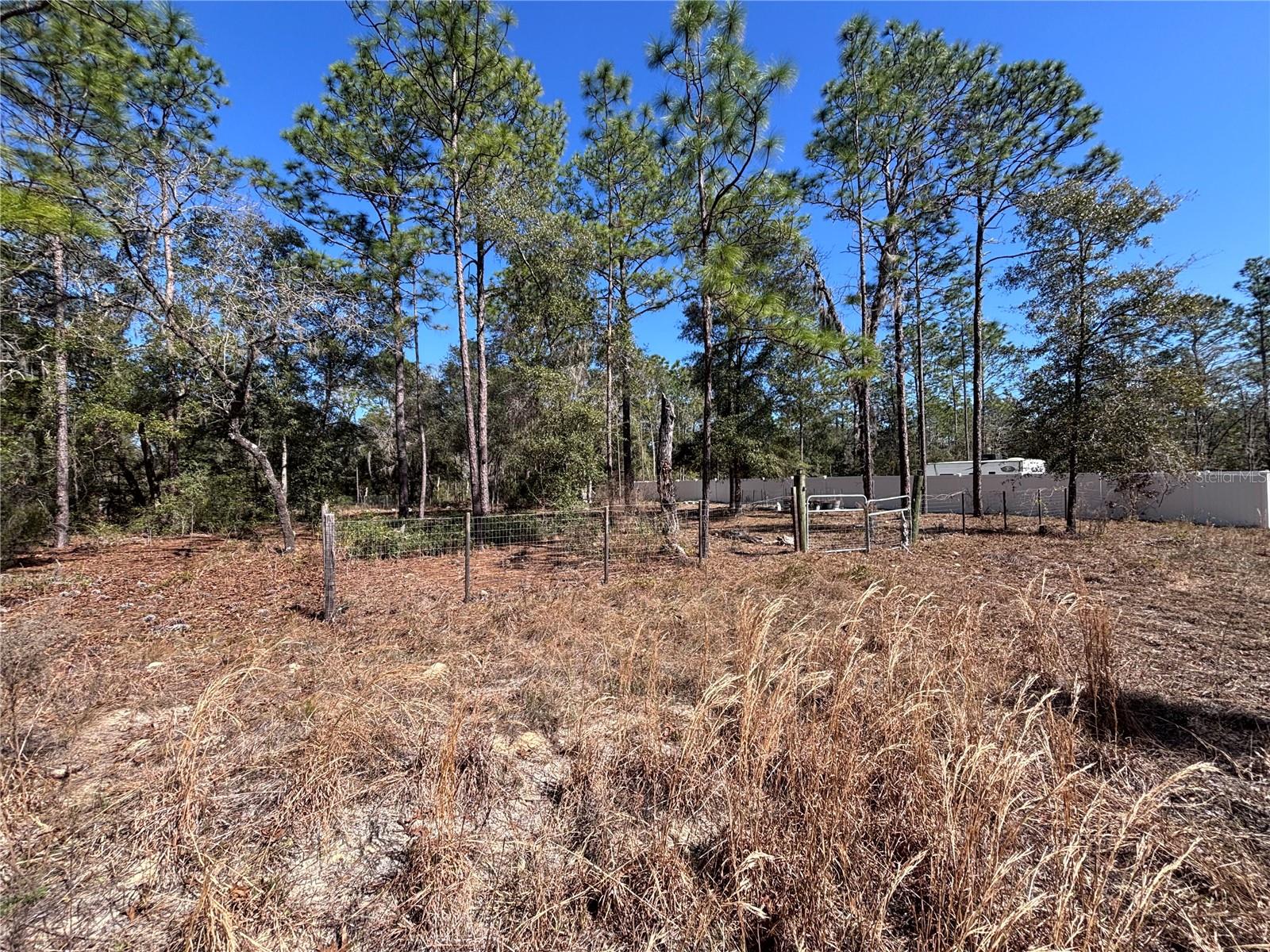 NE 3RD PL, WILLISTON, FL, 32696