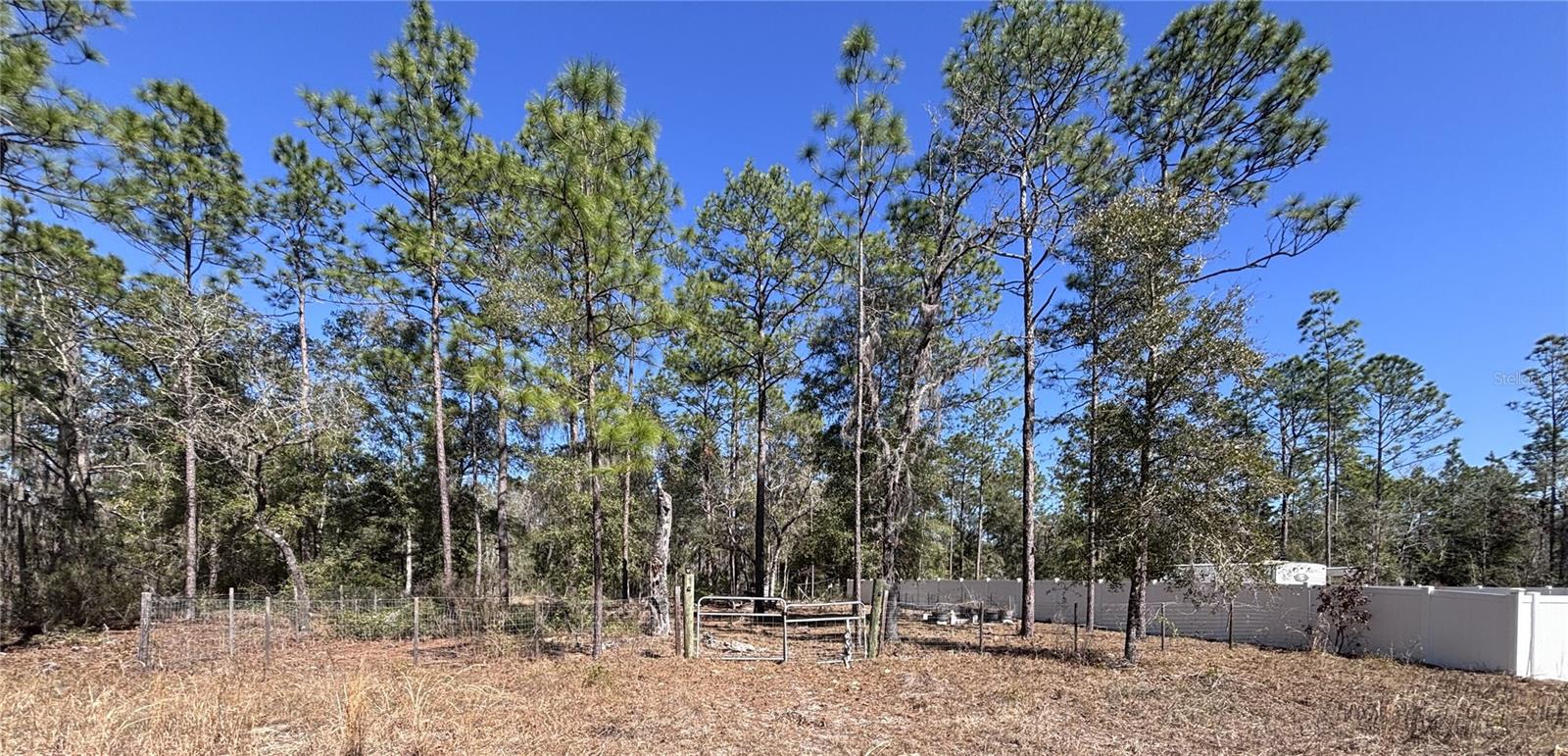 NE 3RD PL, WILLISTON, FL, 32696