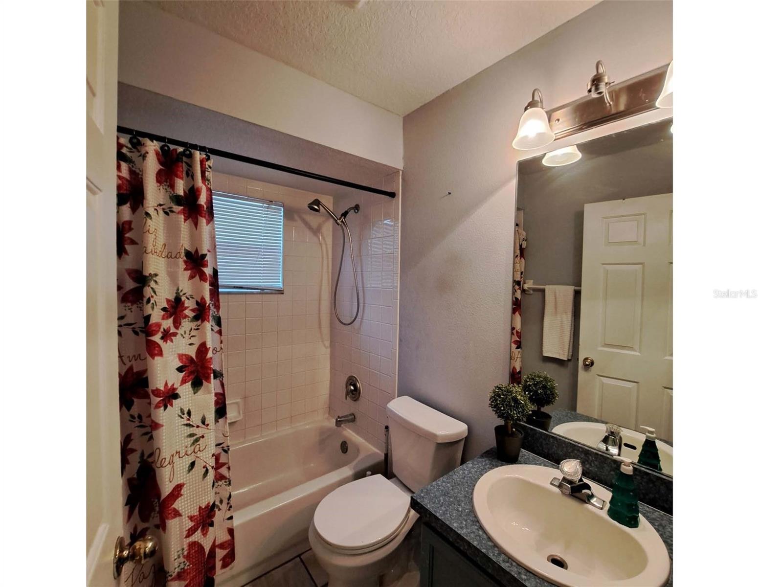 550 OAK BRANCH CIR, KISSIMMEE, FL, 34758