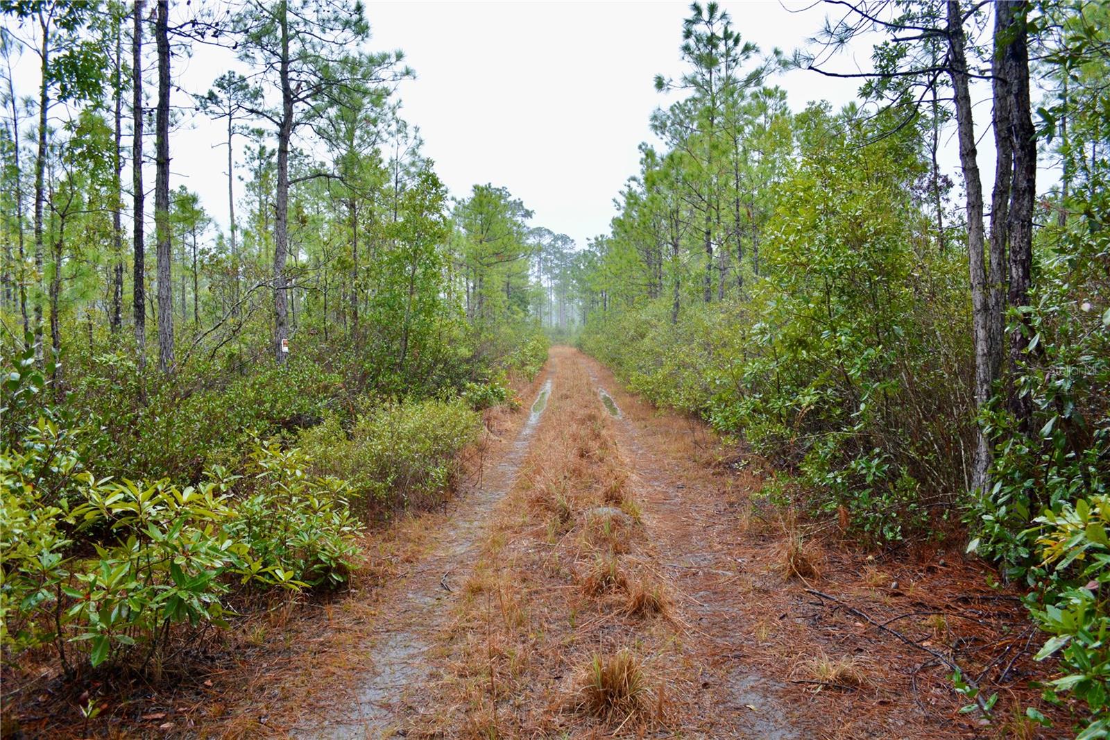 SR-2, SANDERSON, FL, 32087