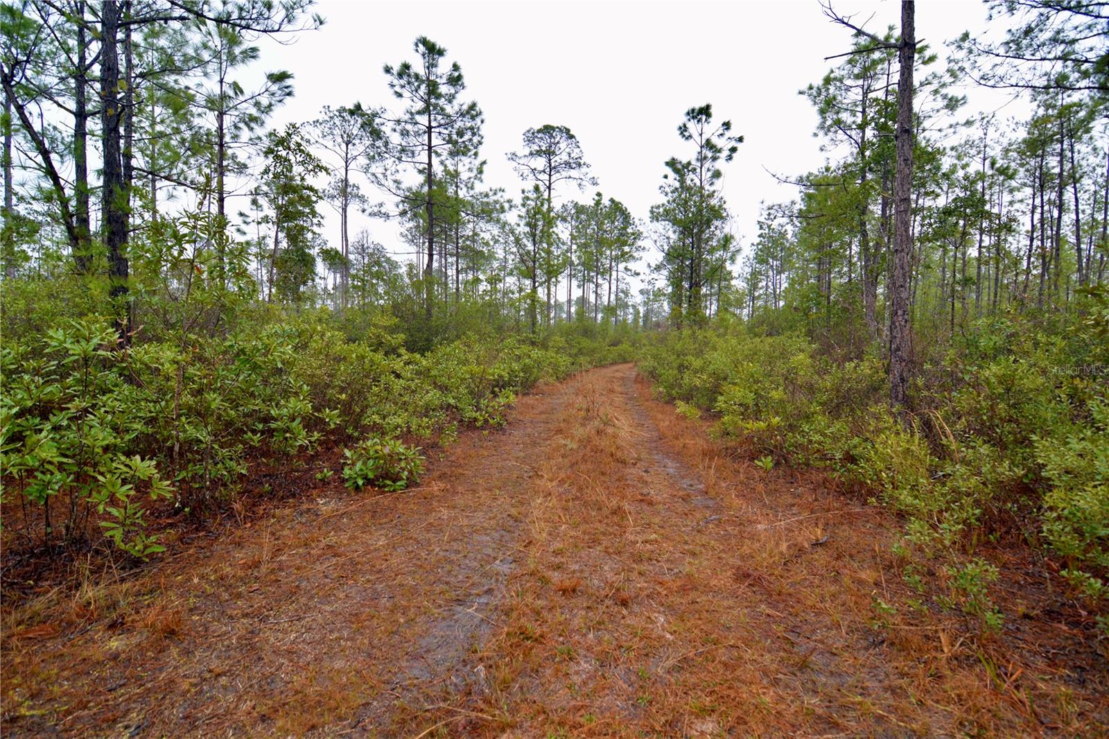 SR-2, SANDERSON, FL, 32087