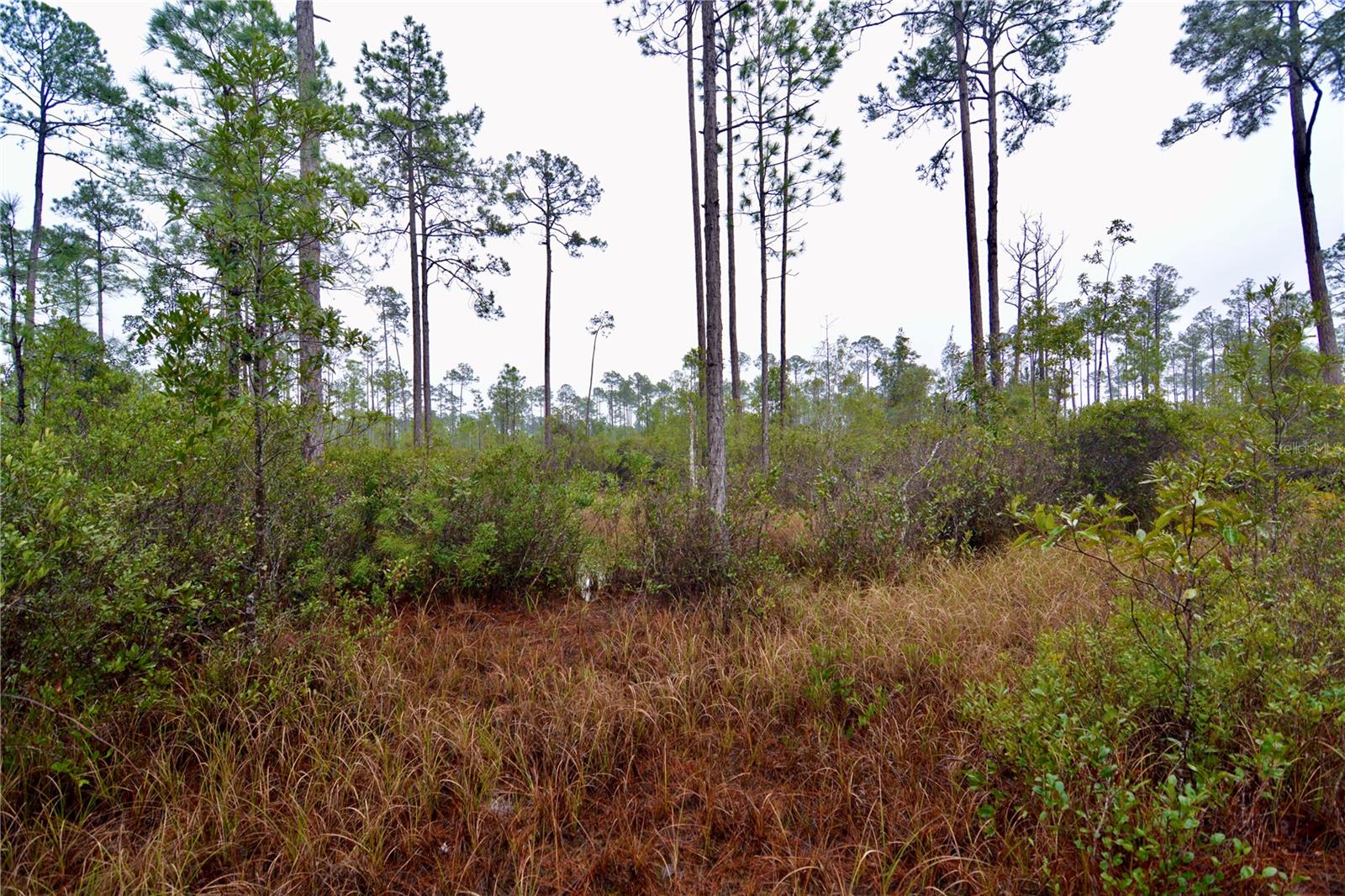 SR-2, SANDERSON, FL, 32087