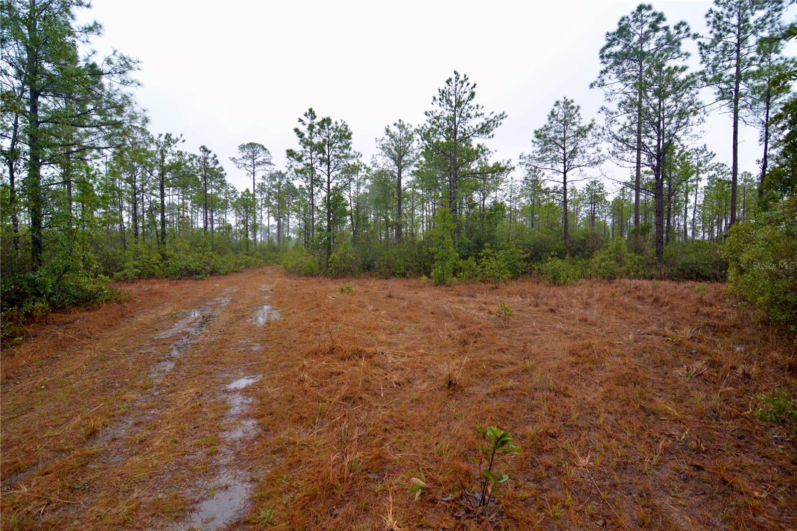 SR-2, SANDERSON, FL, 32087
