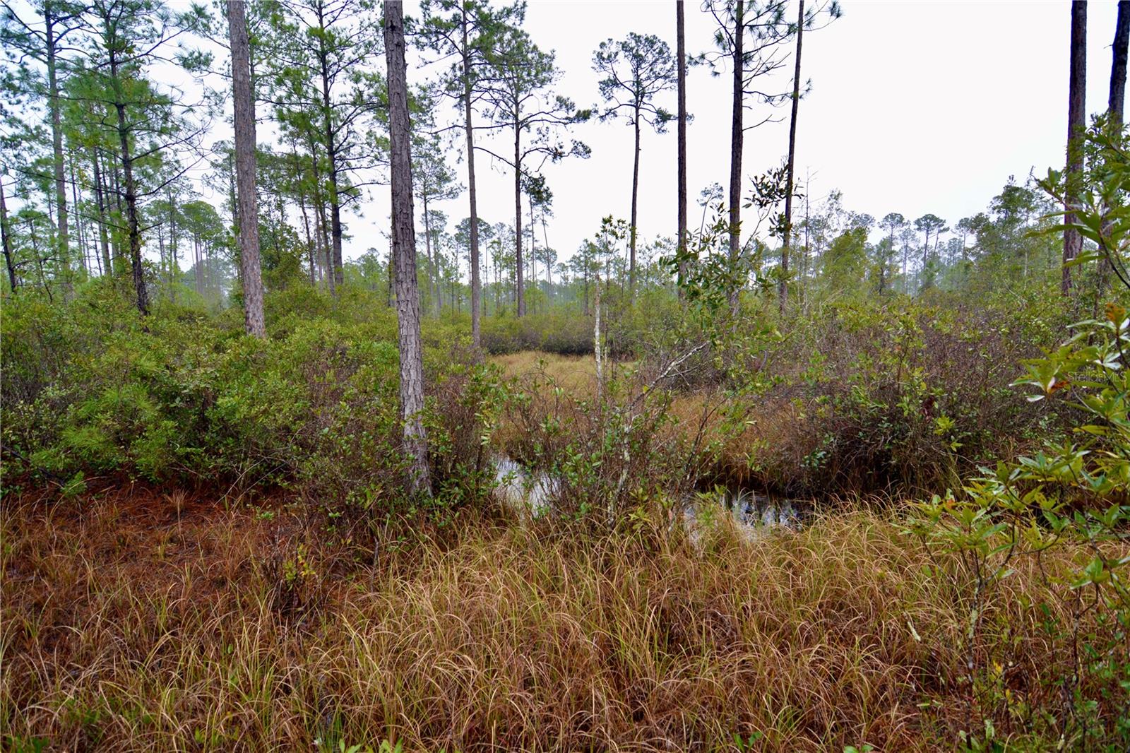 SR-2, SANDERSON, FL, 32087