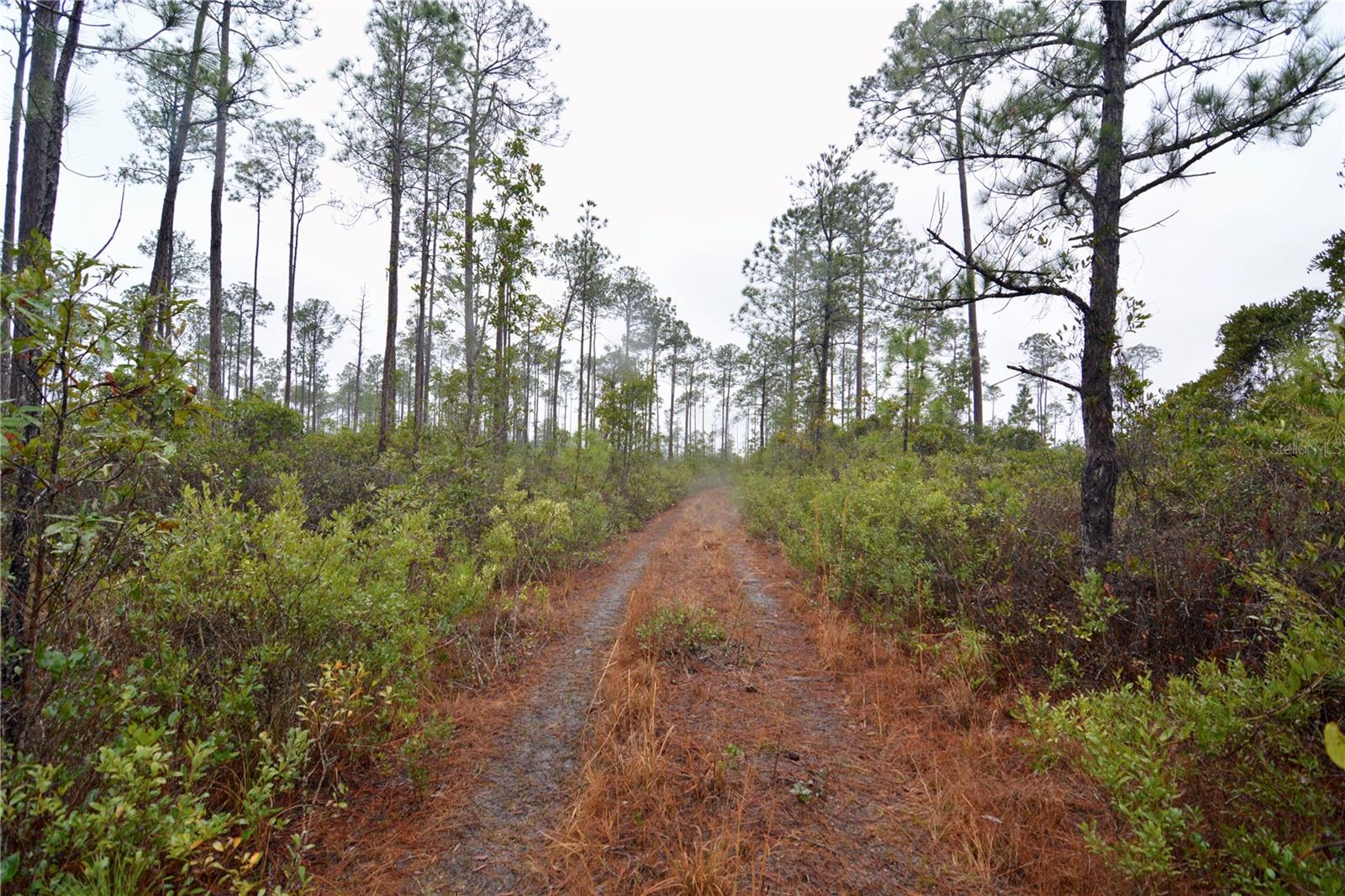 SR-2, SANDERSON, FL, 32087