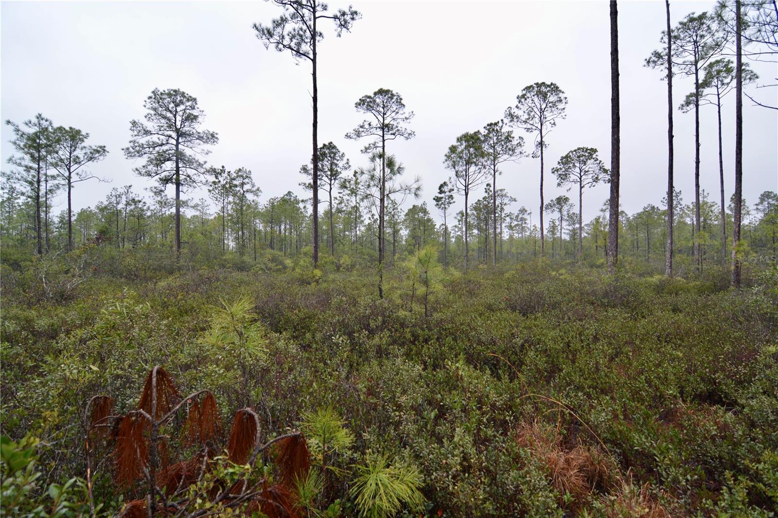 SR-2, SANDERSON, FL, 32087